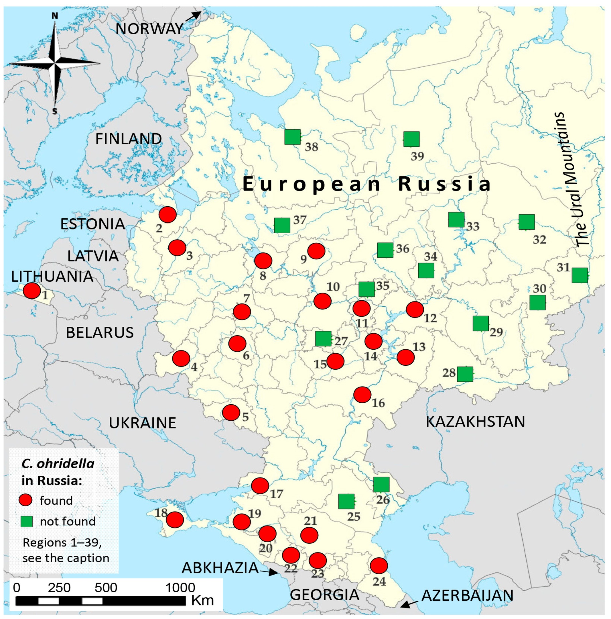 Вы сейчас просматриваете Дойдёт до уральских гор: учёные оценили распространение чужеродной каштановой минирующей моли в России