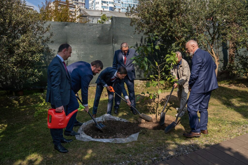 В день 130-летия Субтропического научного центра РАН торжественно высадили новое цитрусовое дерево
